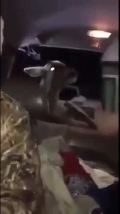People suck
