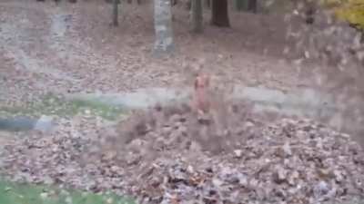 KiD sCAreS dAD tO dEATh