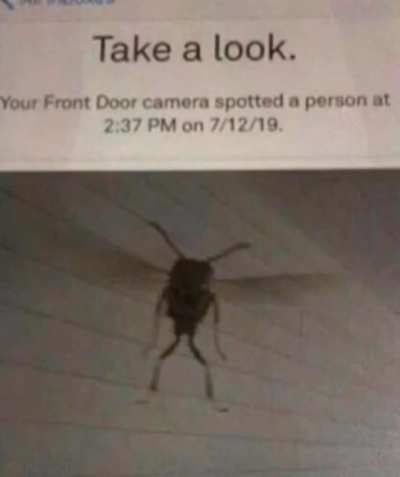 Oh no