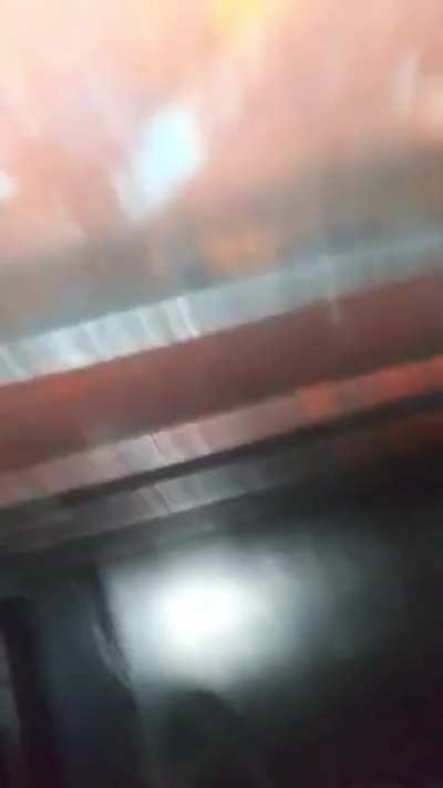 Climbing inside a cardboard bailer while on.