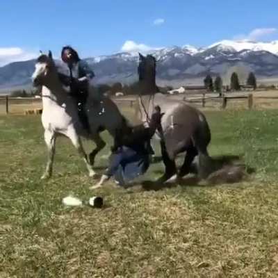 WCGW Popping champagne while on a horse
