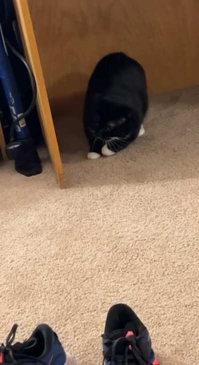 Attack the uh… floor?