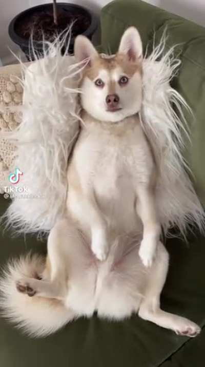 Chimken