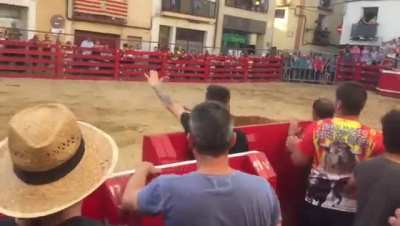 Bull 1, morons 0