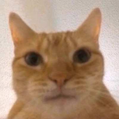 hi clammers