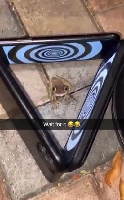 HYPNOTOAD ?