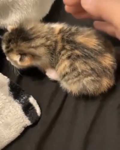 IIIIIHHHH
