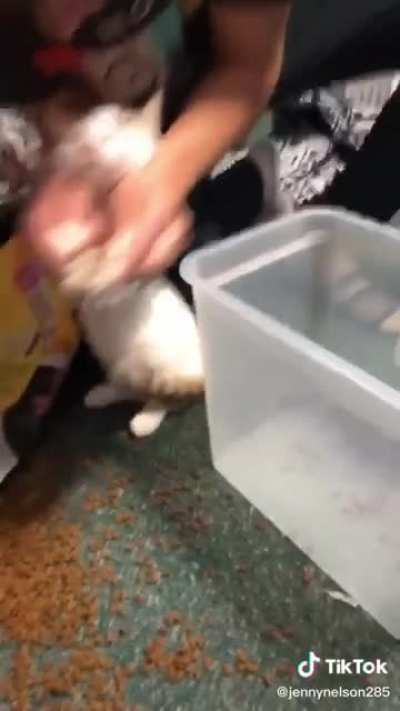 Was told this video belonged here...