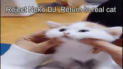 Neko DJ