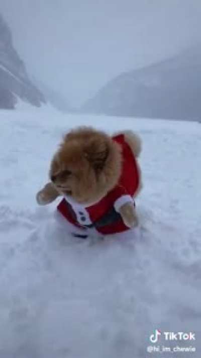 Santa’s Little Helper