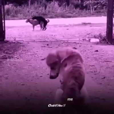 :(((