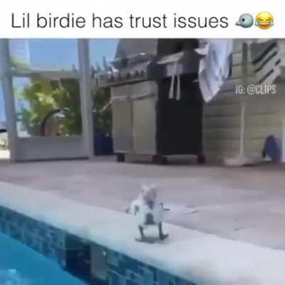 No,no,no