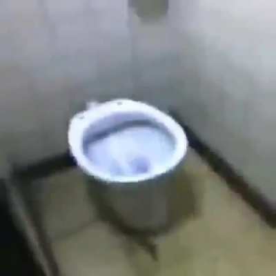 El inodoro que habla