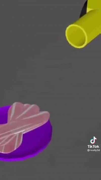 wtf...