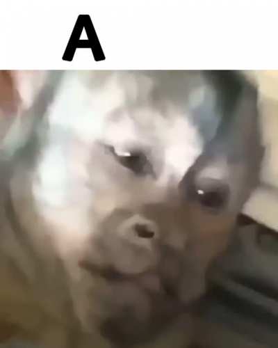 Esta va pal doñas