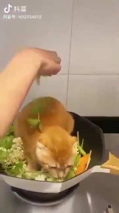 eaten