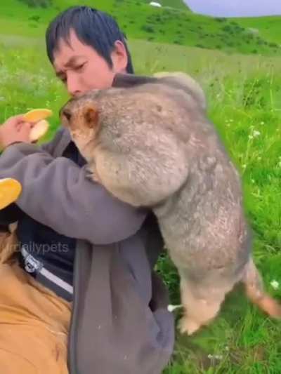 Gimme that