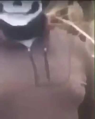 cArTeL fUcKiNg eXeCuTeS pOoR wOmAn
