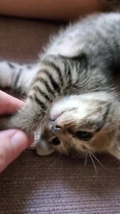 Tiger, three years ago