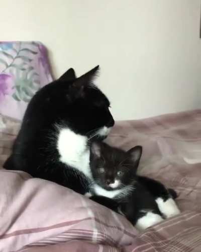 Mother Loves 💖💕
