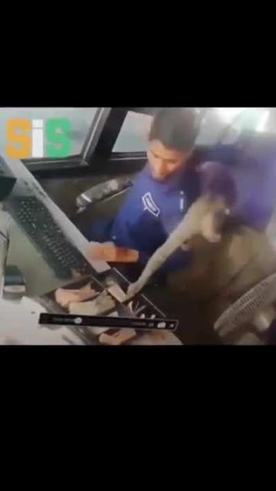 Monkey Heist