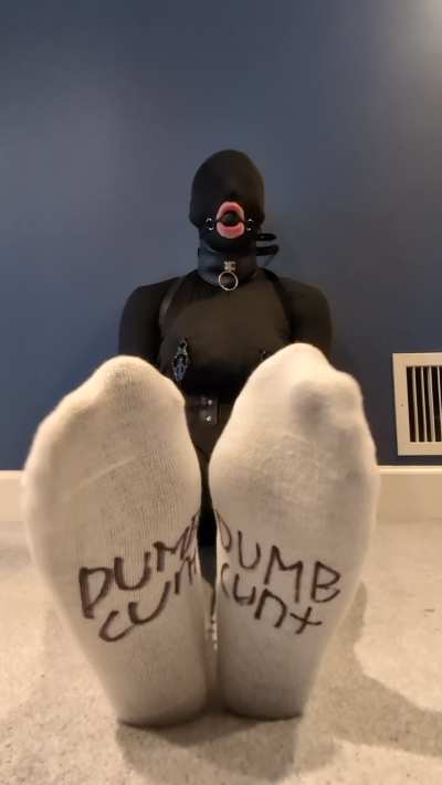 Got sent these socks by a viewer to have fun with!