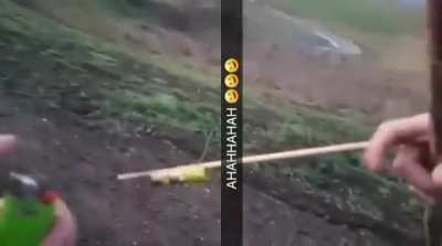 The new Legolas