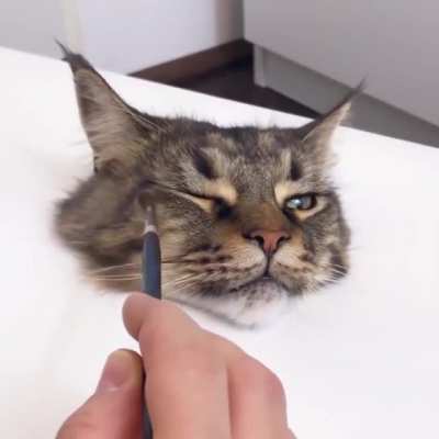 Brushy Brushy
