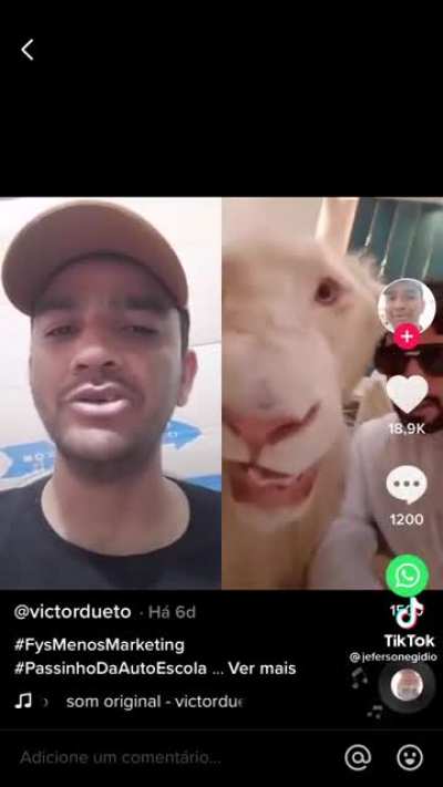 O meme de cima pagou 10 mil reais