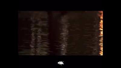 too easy live performance CDQ
