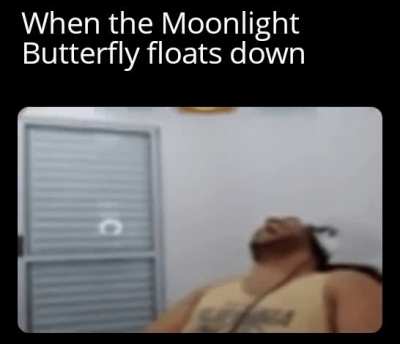 Had the whole office laughing