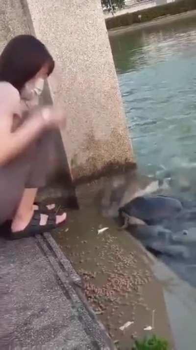 things get awkward when someone doesn't know how to behave