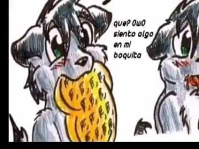 Ayer un amigo me dijo que era furro y hoy le envíe esto (me dijo que si [los furros de hacen gays por alguna razón creo que voy a investigar por qué la gente se hace fuera y luego automáticamente gay] )