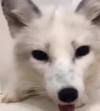 AAAAAAAAAAAAAAAAAAAAAAAAA