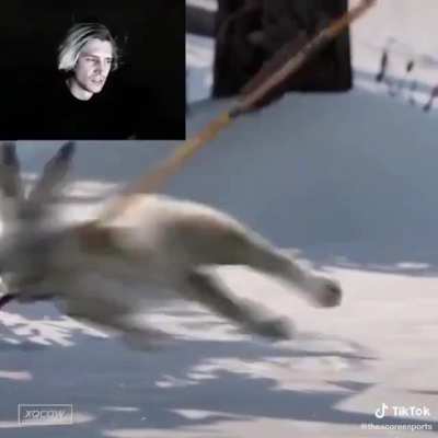 Cellbit é a prova disso xet