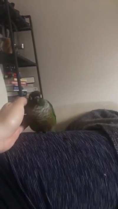 M A G N E T B O I