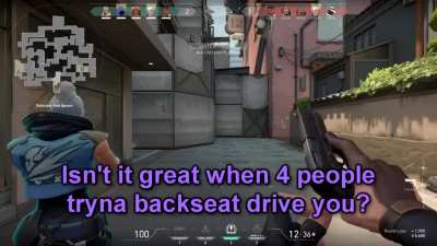 Backseat Gaming
