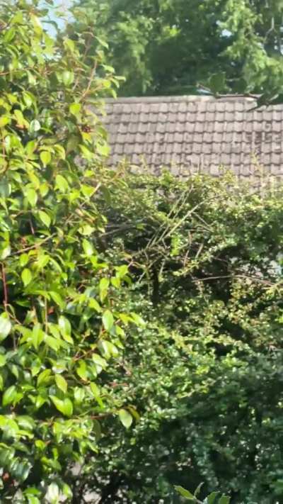 iPhone 14 Pro 3x Telephoto Zoom Blur & Camera Flickering