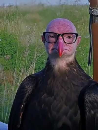 Sigma
