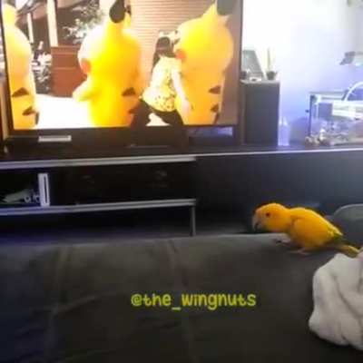 Pokemon, pokemon...
