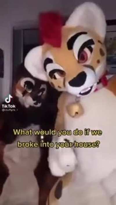 no furries