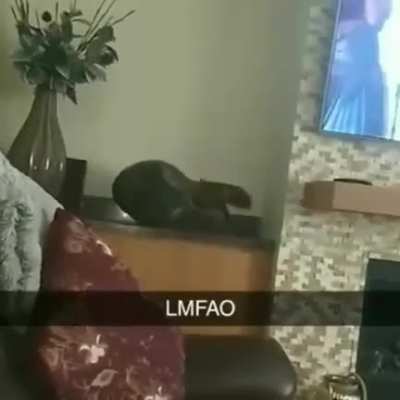 It was his favorite vase