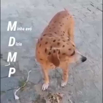 SIMP-br