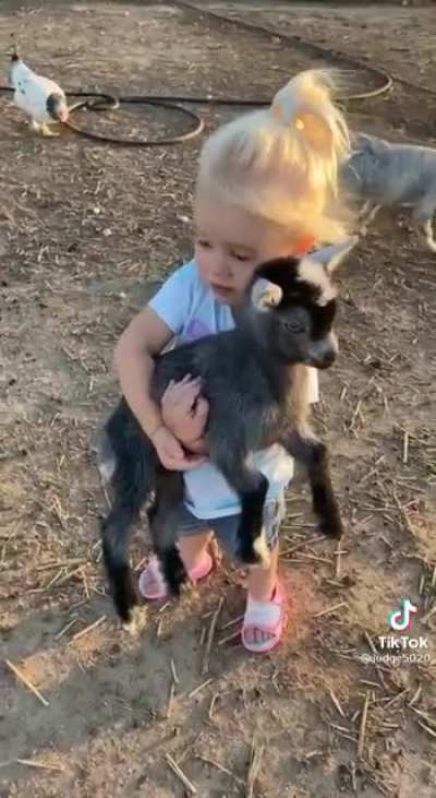 I found the most wholesome account on TikTok