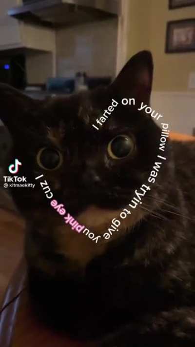 My dog does this too haven’t gotten pink eye but I did need Febreze.