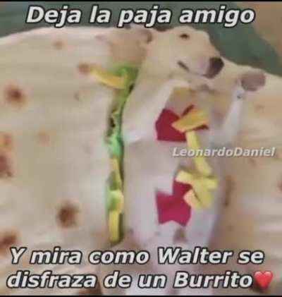un monton