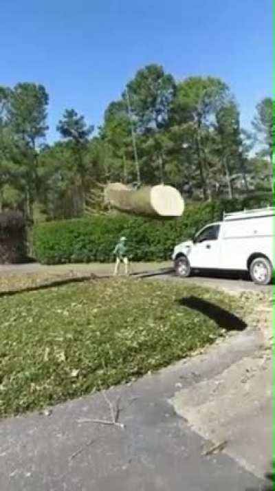 Dead Log.