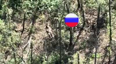 From 'Kyiv in 3 days' to drinking your own piss on day 545. Putin remains a Master Strategist.
