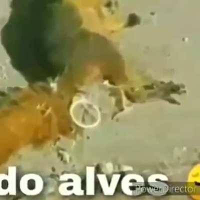F