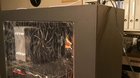 PsYcHo KiLlS mAnY rEDdItOrS